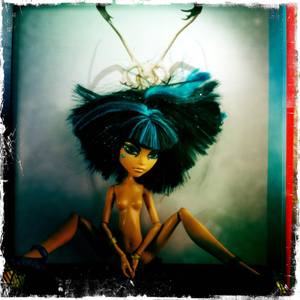 Collection Monster High