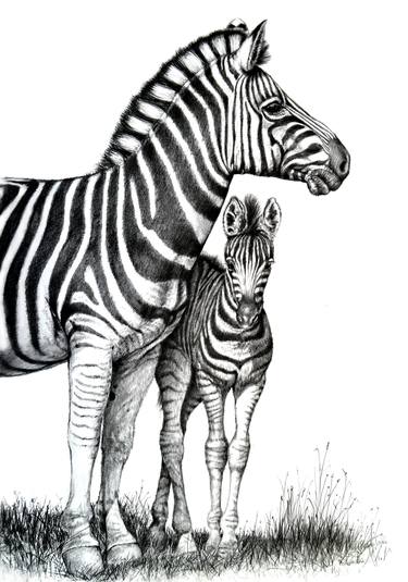 Print of Fine Art Animal Drawings by Heidi Kriel