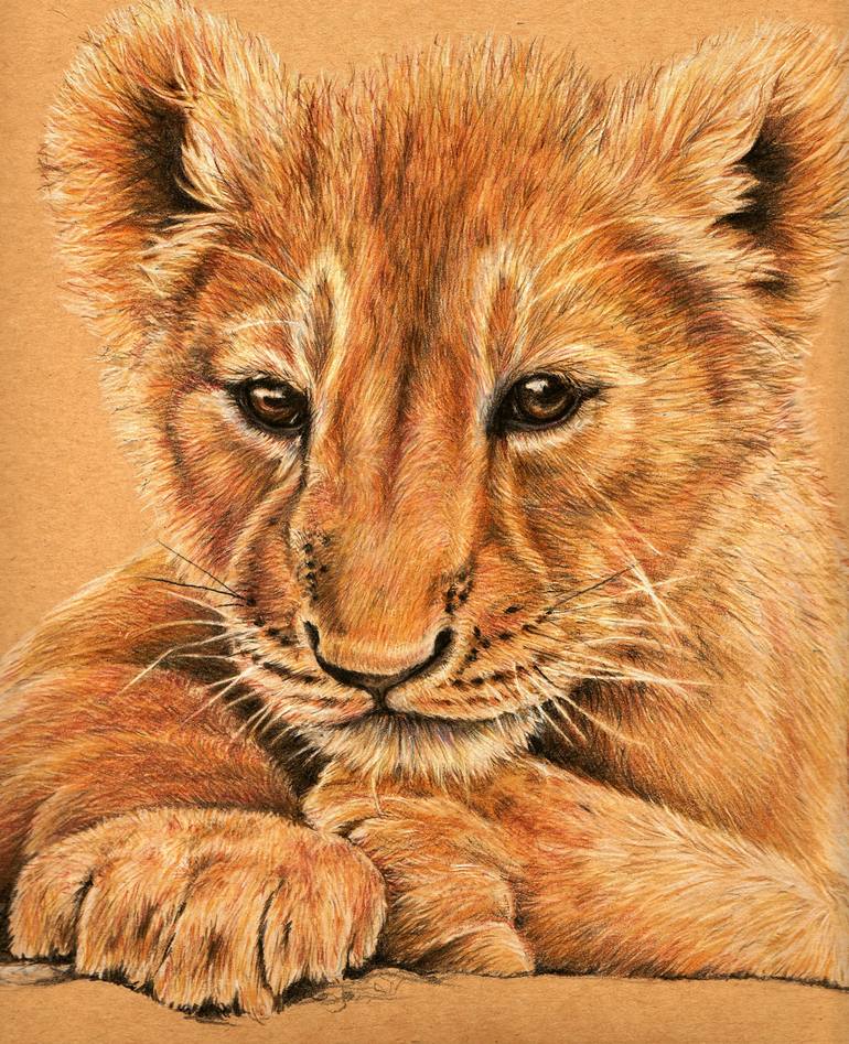 lion cub by Heidi Kriel | Art