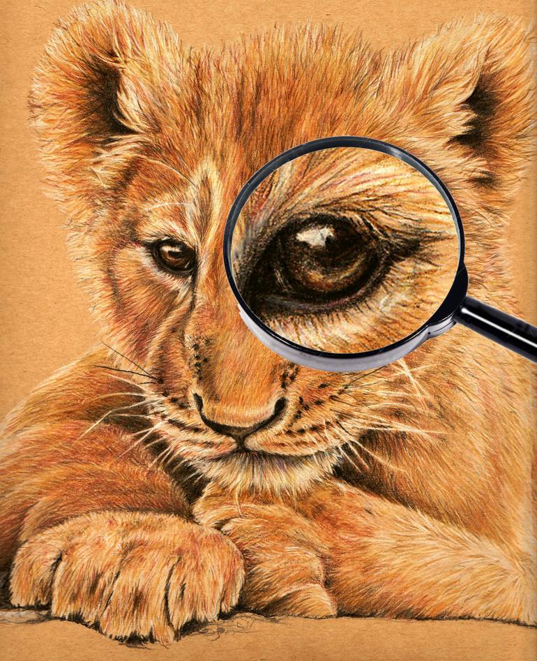Original Figurative Animal Drawing by Heidi Kriel