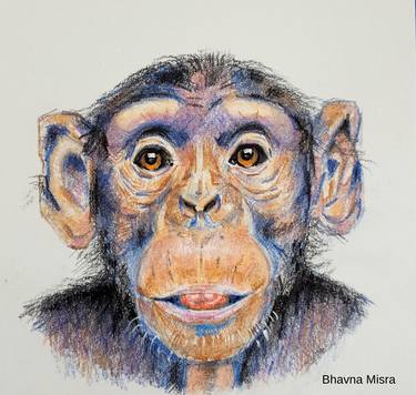 Print of Realism Animal Drawings by Bhavna Misra