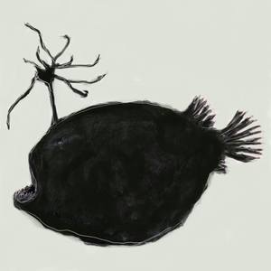 Himantolophus groenlandicus in the dark abyss on a Sunday afternoon - Limited Edition of 10