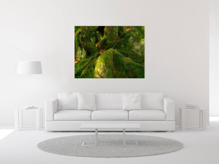 Original Abstract Nature Photography by Matthias Heymel