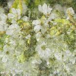 Collection Hidden Landscapes