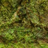 Collection Hidden Landscapes