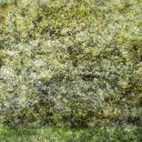 Collection Hidden Landscapes