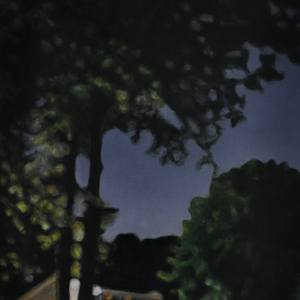 Collection Dusk to Dawn