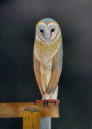 Print of Fine Art Animal Paintings by Carolyn Judge