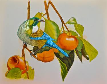 Tui feasting thumb