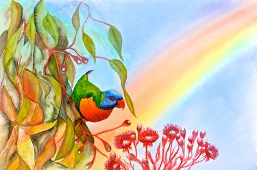 Rainbow Lorikeet thumb