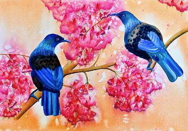 Tui's in Spring Blossom thumb
