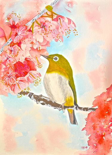 Waxeye in spring blossom thumb