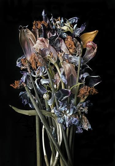 Original Fine Art Floral Photography by Anne Schubert