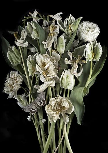 Original Fine Art Floral Photography by Anne Schubert