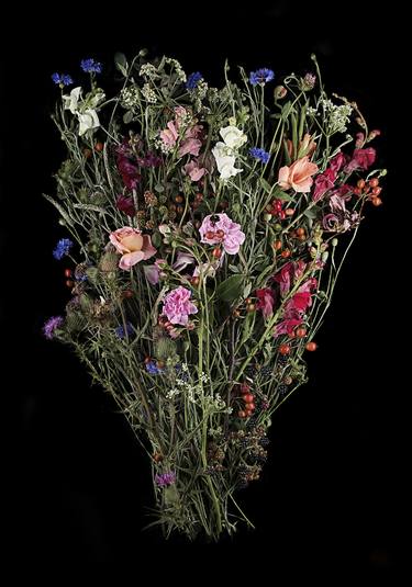 Original Fine Art Botanic Photography by Anne Schubert