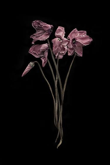 Original Conceptual Floral Photography by Anne Schubert