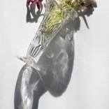 VASE #1 - Limited Edition of 8 by Anne Schubert