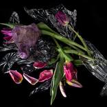 FRAGMENTATION #3 - Limited Edition of 8 by Anne Schubert
