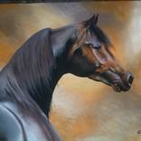 HORSE by Cerr Rojas