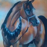 Arabian Horse by Cerr Rojas