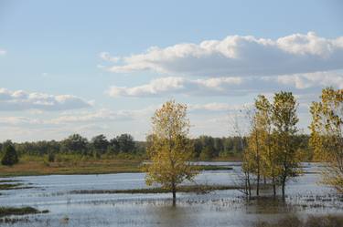 Missouri wetland thumb