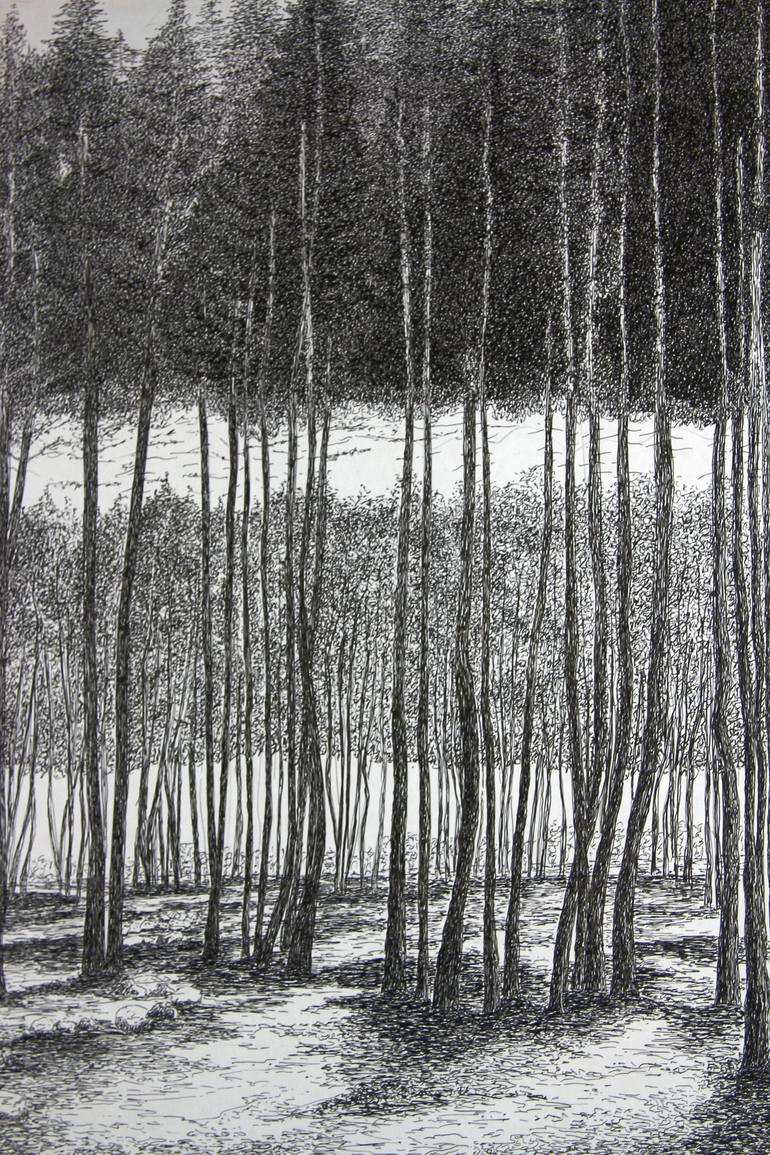 Original Landscape Drawing by christophe carton