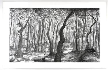 Original Expressionism Landscape Drawings by christophe carton