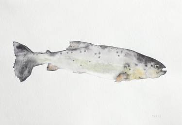 Original Fish Painting by Maeve van Klaveren