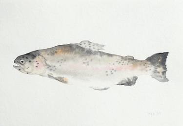 Original Fish Painting by Maeve van Klaveren