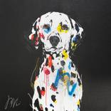 Dalmatian by Tomoya Nakano