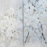 Flowers by Tomoya Nakano