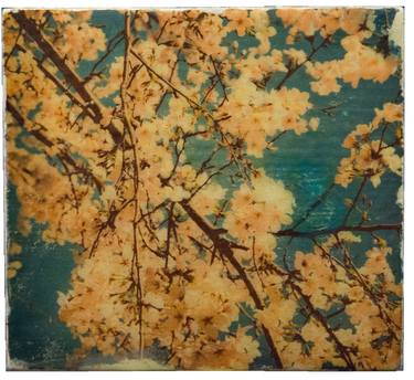 Original Fine Art Floral Paintings by Tomoya Nakano