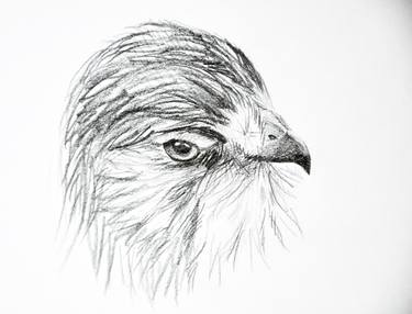 Original Animal Drawing by Karine Makartichan