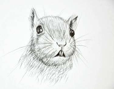 Original Animal Drawing by Karine Makartichan