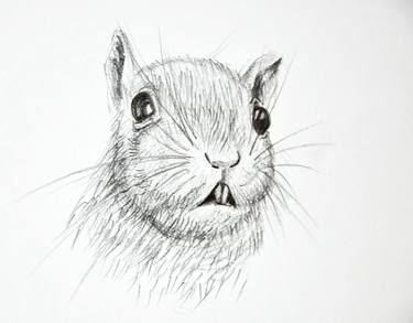 Original Fine Art Animal Drawings by Karine Makartichan