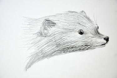 Original Animal Drawing by Karine Makartichan