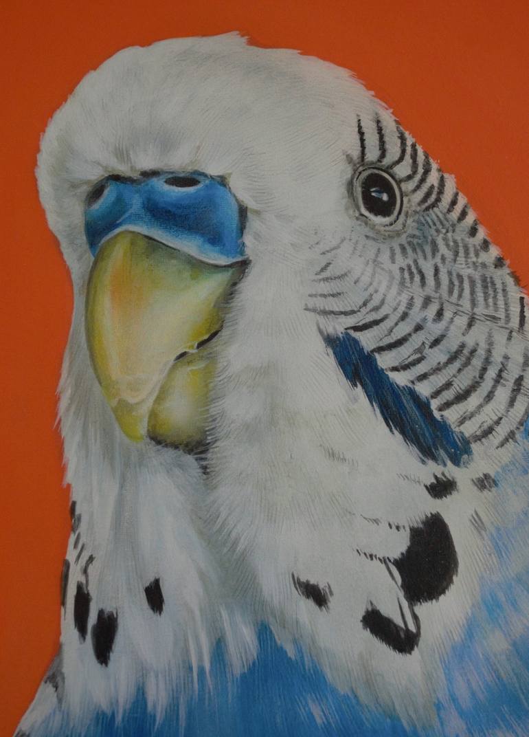 Original Animal Painting by Victoria Coleman