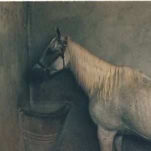 Eric Paddock (curator)