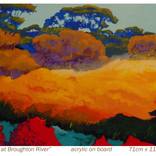 Bushes at Broughton river by Marek Herburt