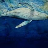 Trusting Leviathan - Whale in Ocean - blue whale by Olga Beliaeva Watercolor
