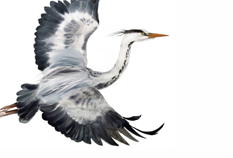 Great Blue Heron in Flight - bird painting - heron - flying heron ...