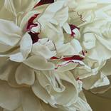 YELLOW PEONY by Luigi Maria de Rubeis