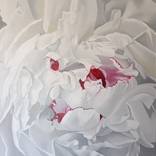 MILITANT PEONY by Luigi Maria de Rubeis