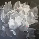 GRAY AND SAD PEONY by Luigi Maria de Rubeis
