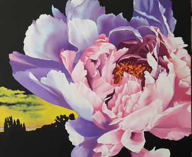 Original Floral Paintings by Luigi Maria de Rubeis