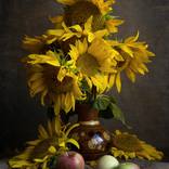 Collection apples