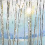 Angelic Woods by Drew Noel Marin