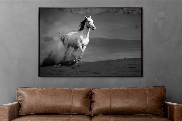 Original Classicism Horse Photography by Adam Bader