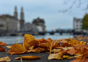 " Zürich, Switzerland. Magical Autumn " thumb