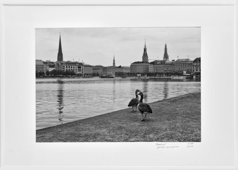 Original Photorealism Animal Photography by Dmitry Savchenko